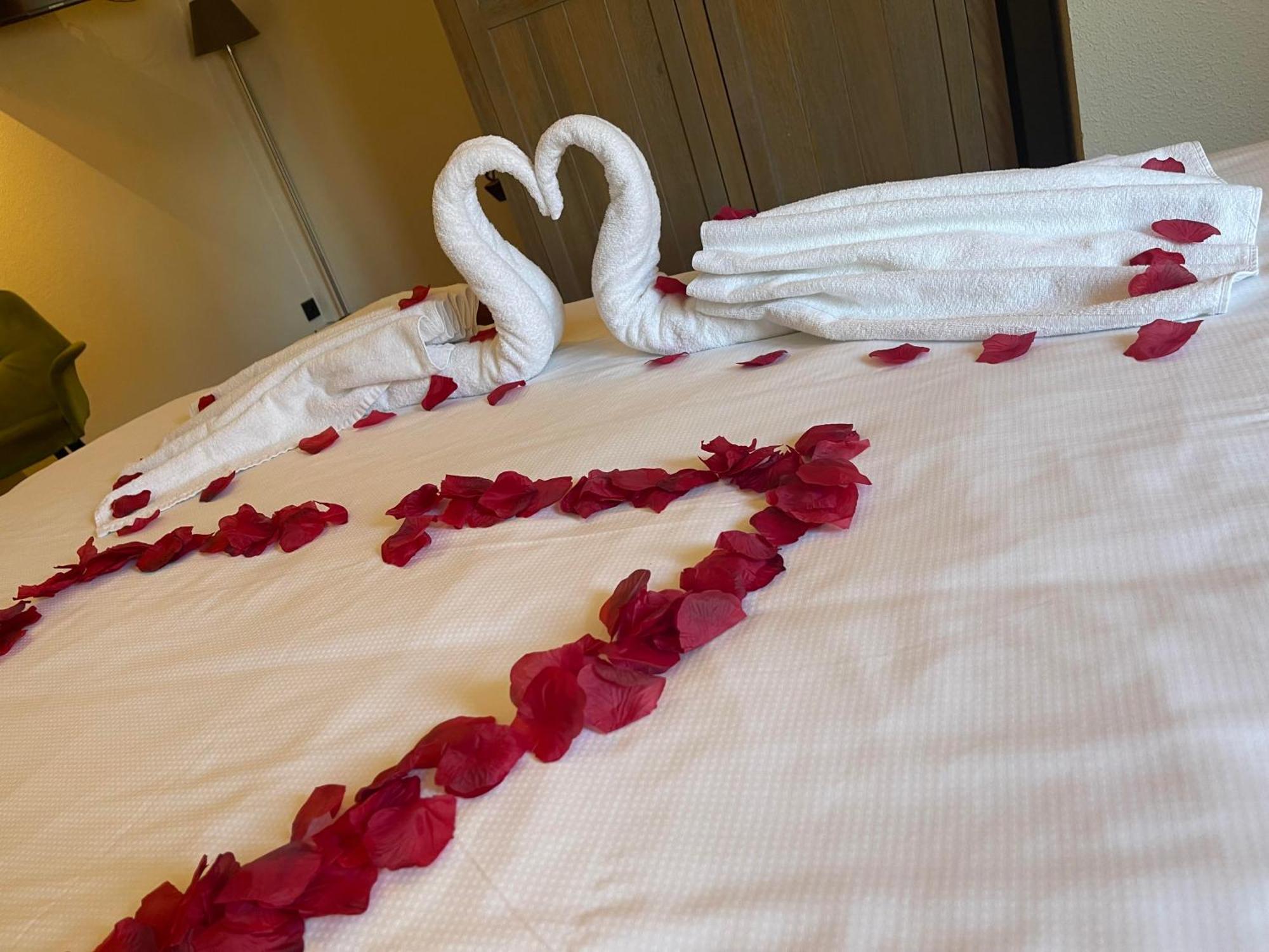 Lace Hotel Bruges Luaran gambar